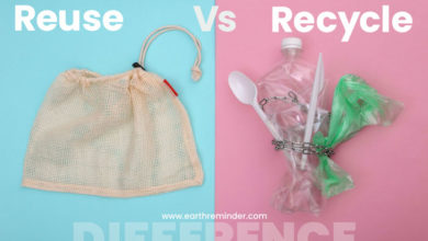 difference-between-reuse-and-recycle
