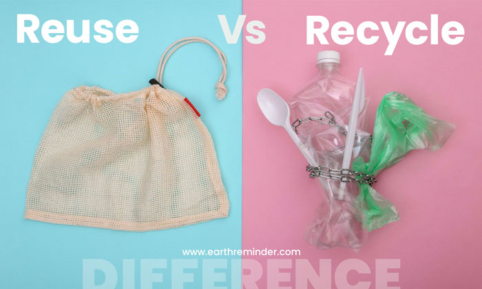difference-between-reuse-and-recycle