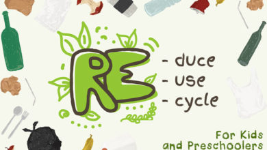 Top Recycling Activities For Kids - For Home & School | Earth Reminder