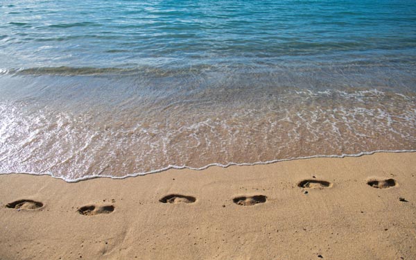 Walking near beach, leaving footprints in the sand
