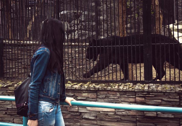 girl-looking-animals-cages-black-jaguar