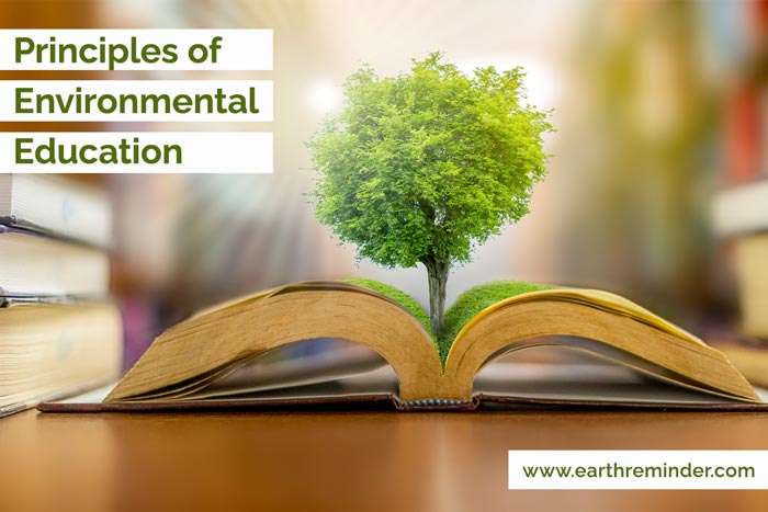 environmental education and education for sustainable development