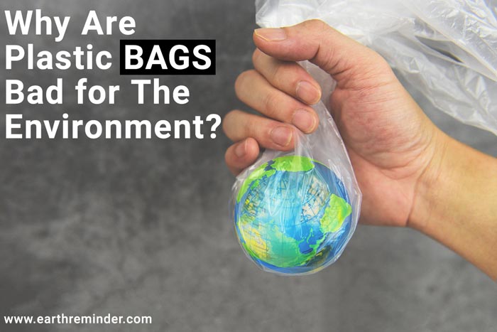 10 Facts About Single-use Plastic Bags