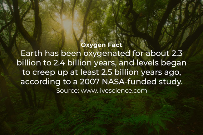 Oxygen facts deals