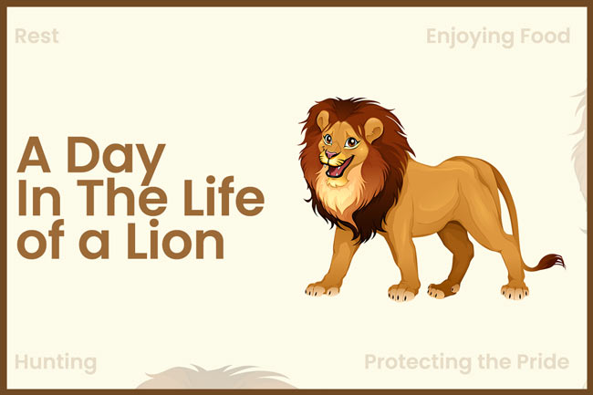 a-day-in-the-life-of-a-lion