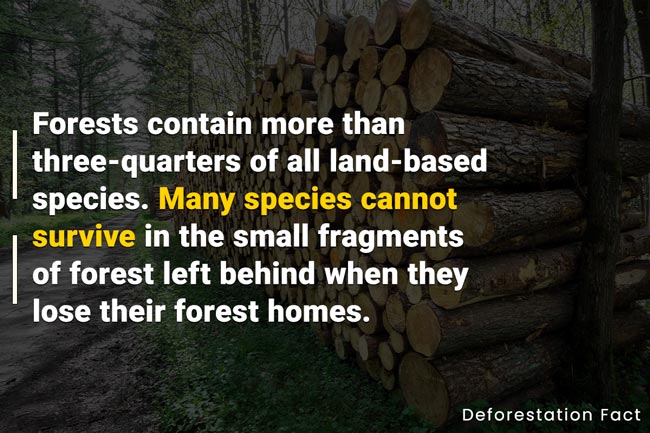 list of effects of deforestation