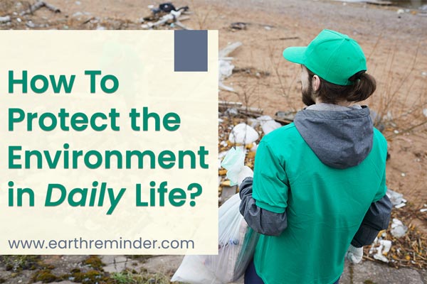 how-to-protect-the-environment-in-daily-life