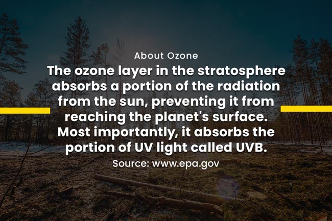 ozone-layer-information