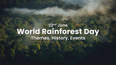 world-rainforest-day-themes-history-events