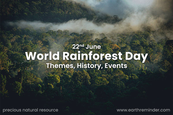 world-rainforest-day-themes-history-events