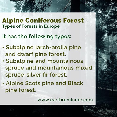 Alpine Coniferous Forest Sub types in european forest