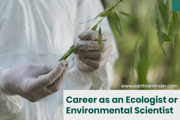 career as an ecologist or environmental scientist