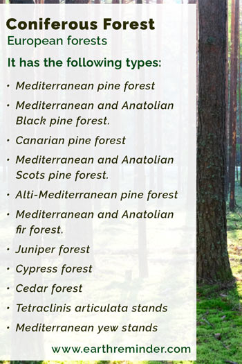 Coniferous Forest Sub types of European forests