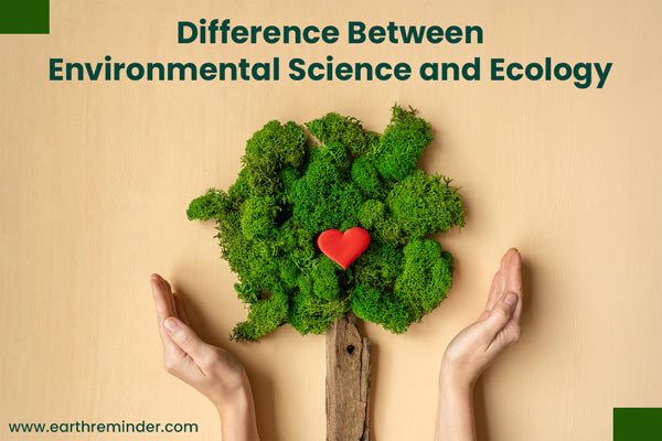 difference between environmental science and ecology