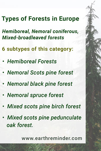 Hemiboreal, Nemoral coniferous, Mixed-broad leaved forests - under european forests