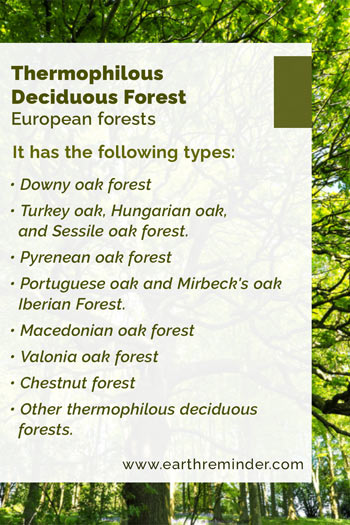 European forests: Thermophilous Deciduous Forest sub types