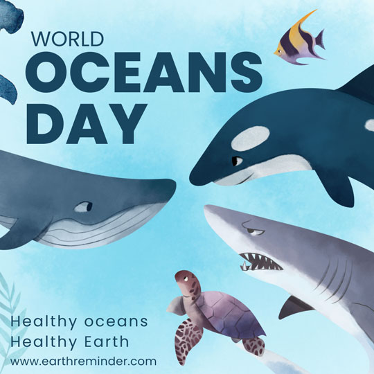 World oceans day. Healthy oceans, healthy Earth.