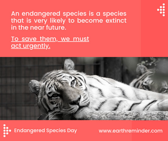 world endangered species day