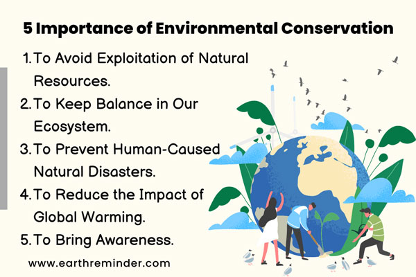 essay for environmental preservation