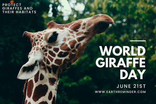 world-giraffe-day