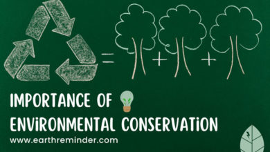 importance-of-environmental-conservation