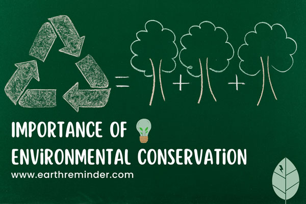 5 Major Importance of Environmental Conservation | Earth Reminder