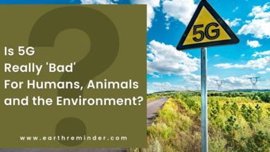is-5g-bad-for-humans-animals-and-the-environment