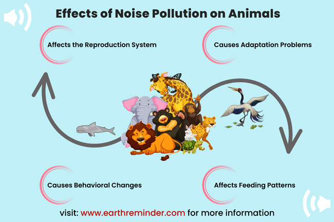 Adverse Effects of Noise Pollution on Humans & Animals | Earth Reminder