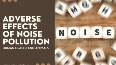 adverse-effects-of-noise-pollution-on-human-health-and-animals