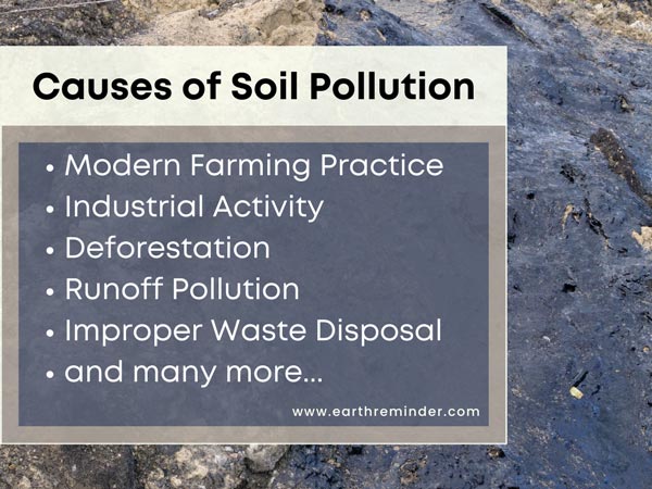 write a speech about soil pollution