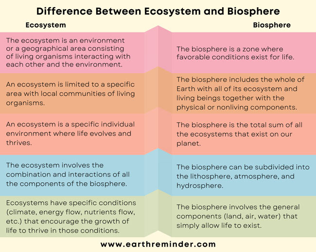 difference-between-ecosystem-and-biosphere