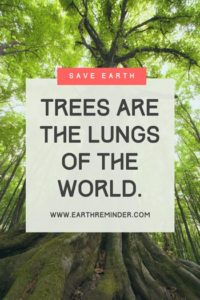 25+ World Environment Day Posters Ideas with Slogans | Earth Reminder