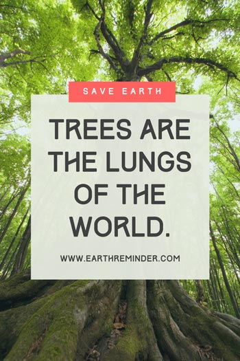 poster on world environment day with slogan