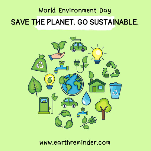 essay on world environment day and its importance