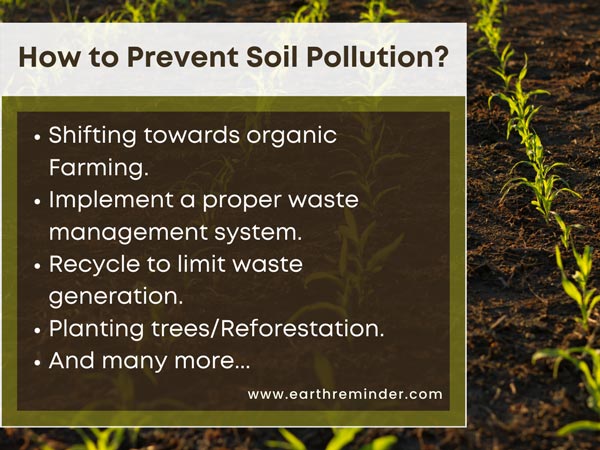 soil pollution best essay