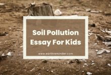 soil-pollution-essay-for-kids