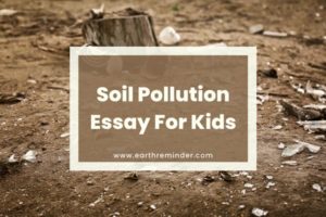 write a speech about soil pollution