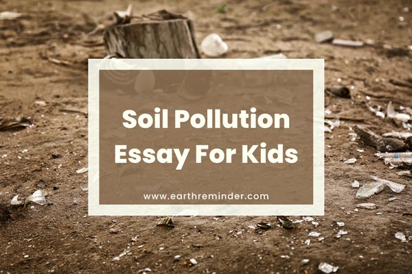 soil-pollution-essay-for-kids