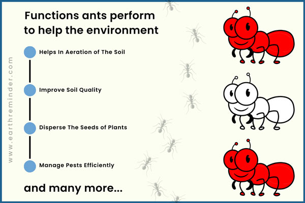 what do ants do for the environment?