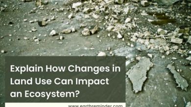 explain-how-changes-in-land-use-can-impact-an-ecosystem