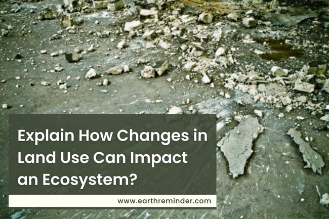 explain-how-changes-in-land-use-can-impact-an-ecosystem