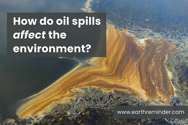 how-do-oil-spills-affect-the-environment