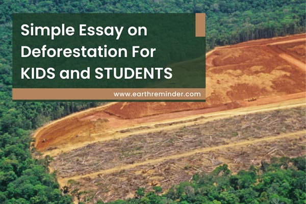 simple-essay-on-deforestation