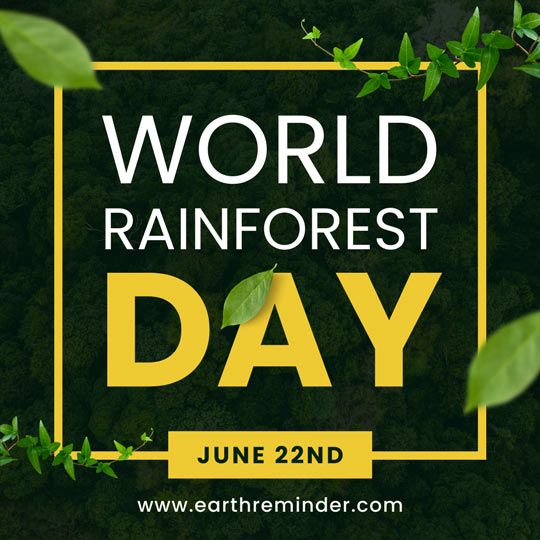 World-Rainforest-Day-22nd-June