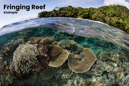 fringing-reef