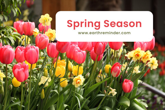spring-season