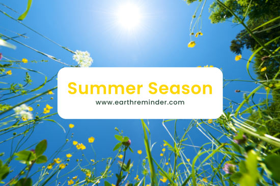 summer-season
