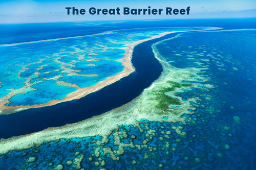 the-great-barrier-reef