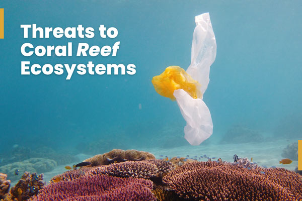 threats-to-coral-reef-ecosystems