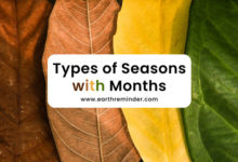 types-of-seasons